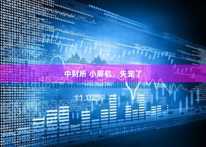中财所 小屏机，失宠了