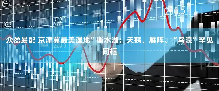 众盈易配 京津冀最美湿地”衡水湖：天鹅、雁阵、“鸟浪”罕见同框